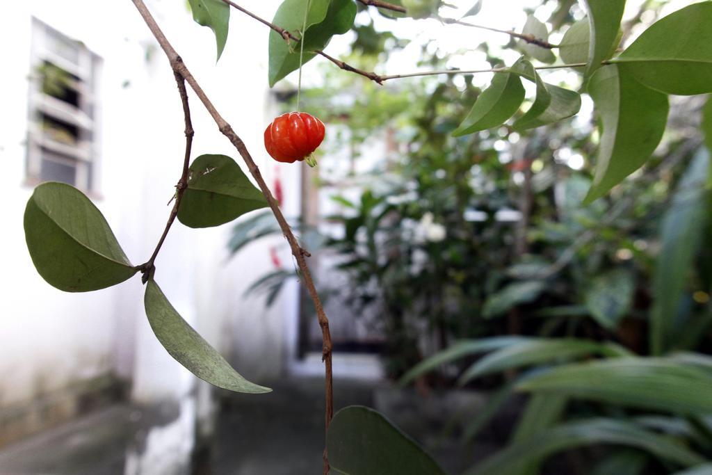 Casa Em Meio A Natureza - Ideal Para Casal Rio de Janeiro Exteriör bild